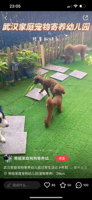 图片[3]-宠物幼儿园需求很大，未来前景也不错，….-网创风向标论坛-网络创业-网创圈