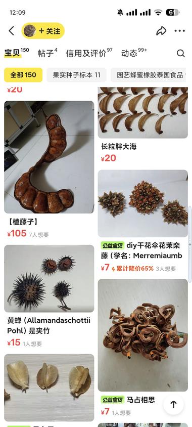 图片[3]-有人在闲鱼上卖植物相关产品（科普收藏….-网创风向标论坛-网络创业-网创圈