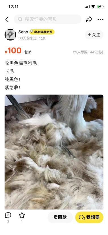 图片[3]-闲鱼上刷到大量收狗毛和猫毛的，感觉损….-网创风向标论坛-网络创业-网创圈