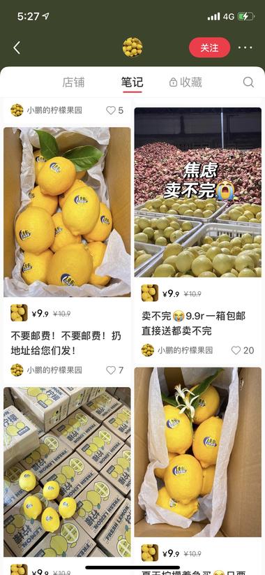 图片[2]-小红书今年最好做的方向是直接卖产品，….-网创风向标论坛-网络创业-网创圈