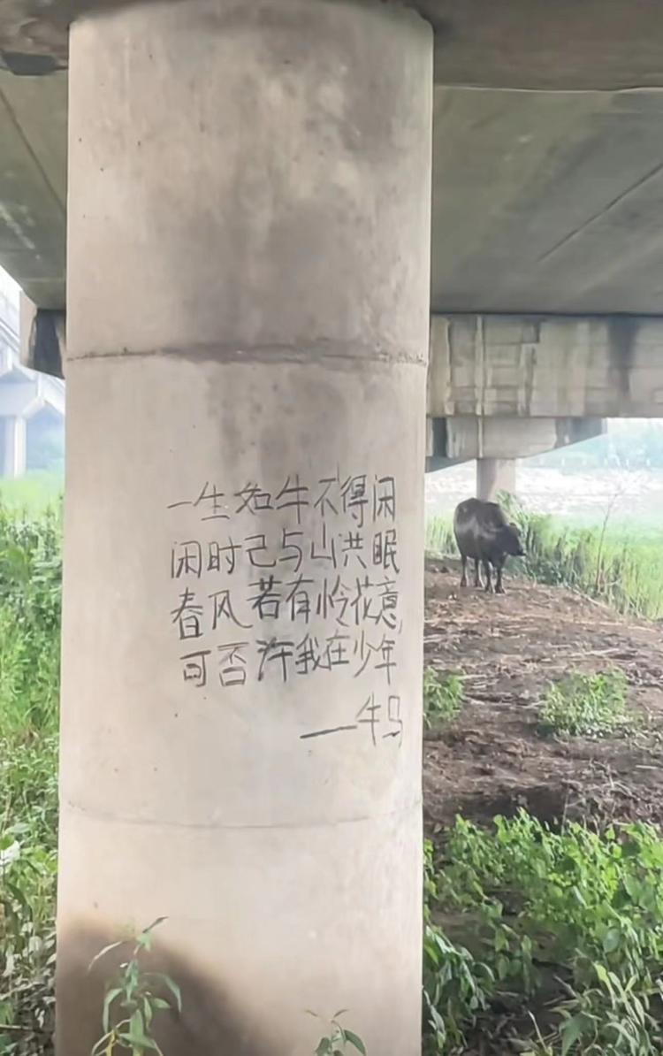 贼火的一张图片..#风向标-航海圈