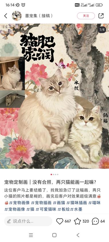 小红书定制宠物画，这种国风..#风向标-搞钱风向标论坛-航海社群内容-航海圈