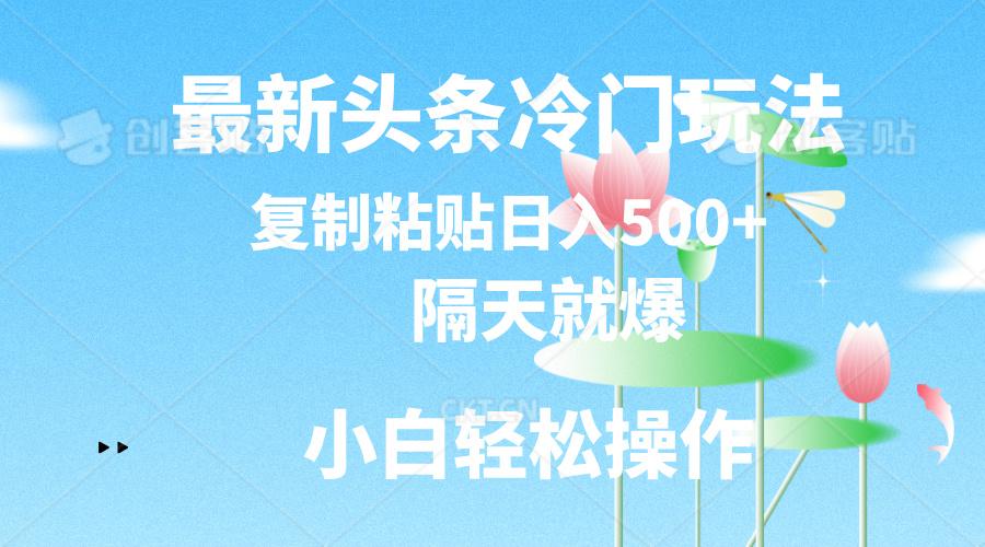 最新头条冷门玩法，隔天就爆，复制粘贴日入500+-航海圈