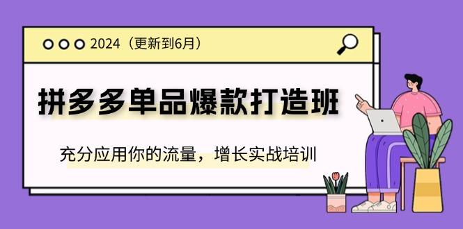2024拼多多-单品爆款打造班(更新6月)，充分应用你的流量，增长实战培训-航海圈