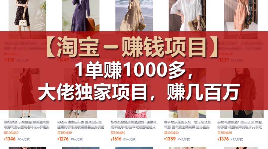 【淘宝赚钱项目】1单可赚1000多，大佬独家项目，年赚几百万-航海圈