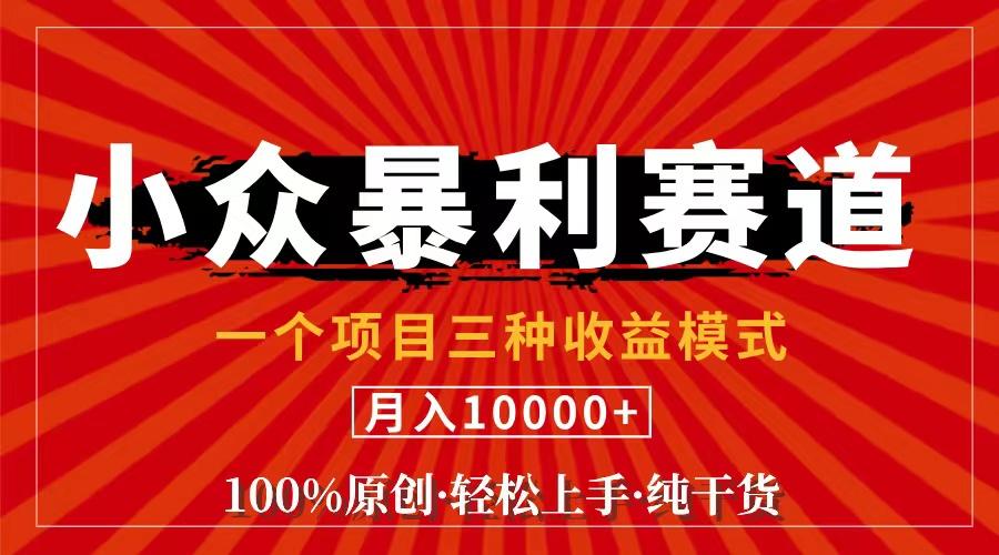 视频号【中老年粉深信不疑】小众赛道 100%原创 手把手教学 新号3天收益…-航海圈