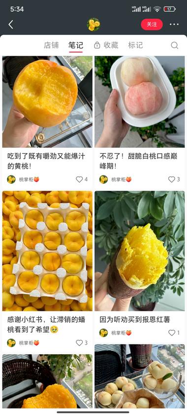 图片[3]-小红书一个2.2万粉的账号卖桃子和….-网创风向标论坛-网络创业-网创圈