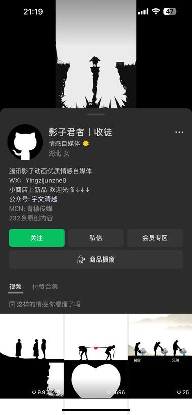 图片[9]-感觉刷到过好多次，专门用黑影来诠释….-网创风向标论坛-网络创业-网创圈