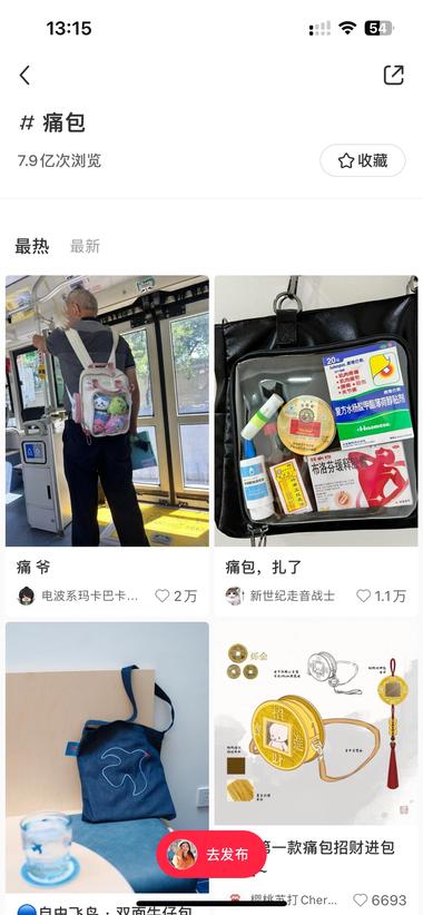 在小红书做“痛包”售卖，痛..#风向标-搞钱风向标论坛-航海社群内容-航海圈