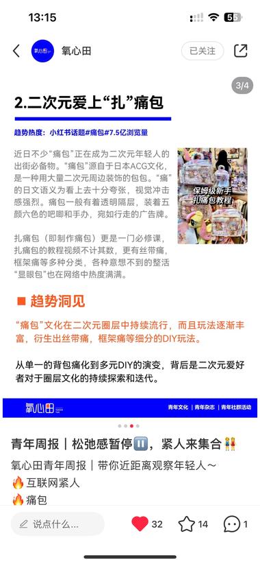 图片[2]-在小红书做“痛包”售卖，痛包自制材料….-网创风向标论坛-网络创业-网创圈