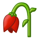 图片[4]-退休年龄推迟
金句爆火小红书-网创风向标论坛-网络创业-网创圈