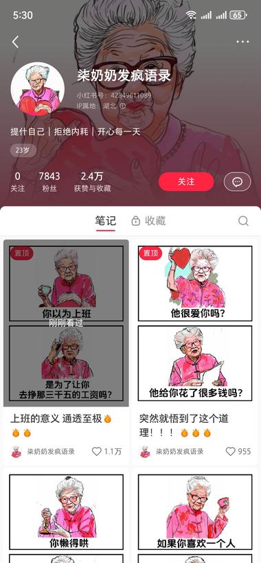 小红书用绘画软件画个老奶奶..#风向标-搞钱风向标论坛-航海社群内容-航海圈