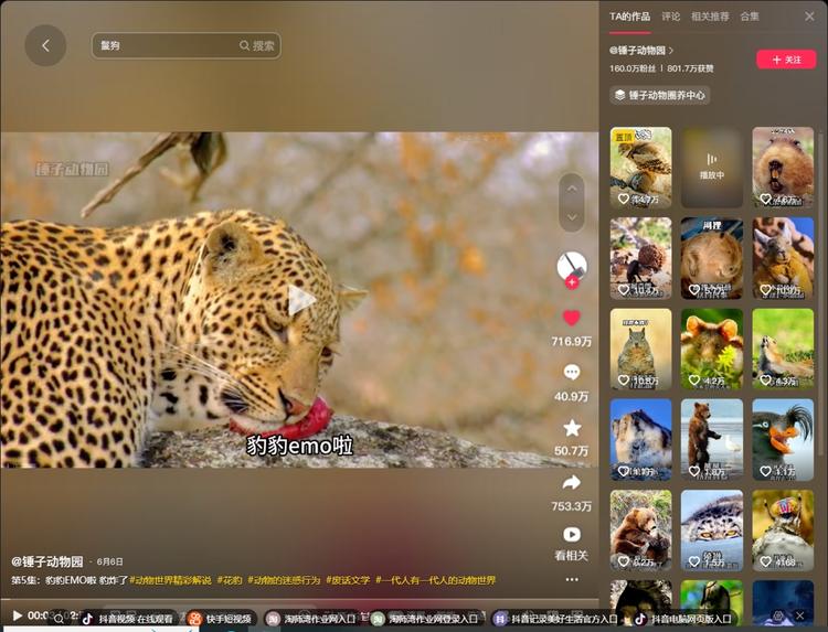 动物讲解，野生动物视频剪辑..#风向标-搞钱风向标论坛-航海社群内容-航海圈