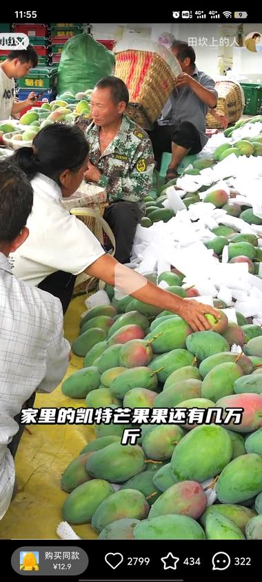 小红书水果铺小红书做当这些..#风向标-航海圈