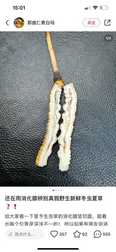 图片[3]-虫草产品在小红书引流，通过鉴别真假引流….-网创风向标论坛-网络创业-网创圈