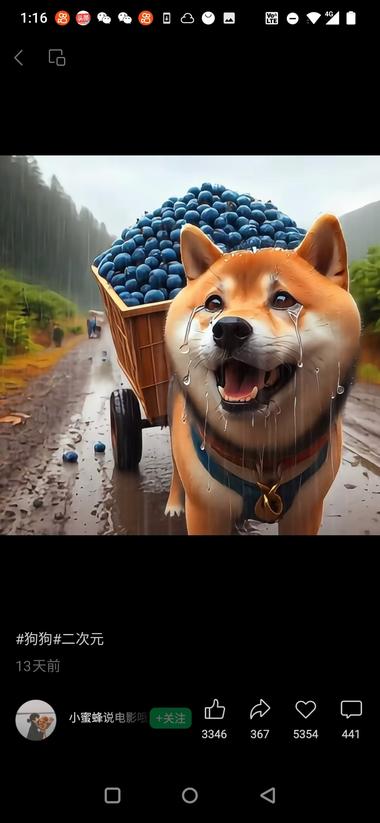 图片[6]-在视频号上，发这类二次元萌宠拉动货….-网创风向标论坛-网络创业-网创圈