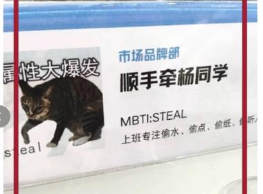 图片[3]-现在00后上班的工牌很有意思！完全….-网创风向标论坛-网络创业-网创圈