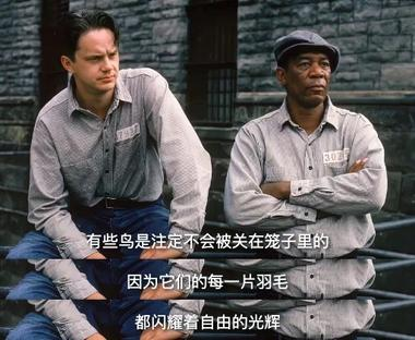 图片[3]-这两天「字幕截图生成器」传播得特别火….-网创风向标论坛-网络创业-网创圈