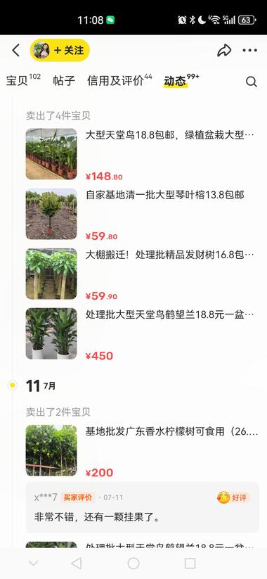 图片[3]-闲鱼卖绿植，高客单也能做….-网创风向标论坛-网络创业-网创圈