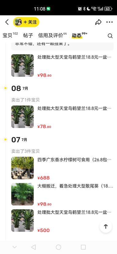 图片[4]-闲鱼卖绿植，高客单也能做….-网创风向标论坛-网络创业-网创圈