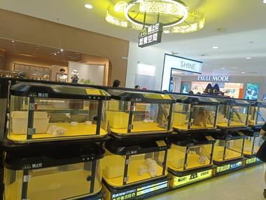 在万象汇山姆看到，喜爱宠物..#风向标-航海圈