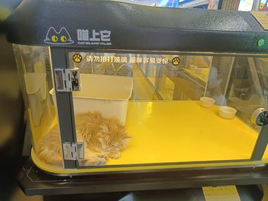 图片[5]-在万象汇山姆看到，喜爱宠物的人士可以….-网创风向标论坛-网络创业-网创圈