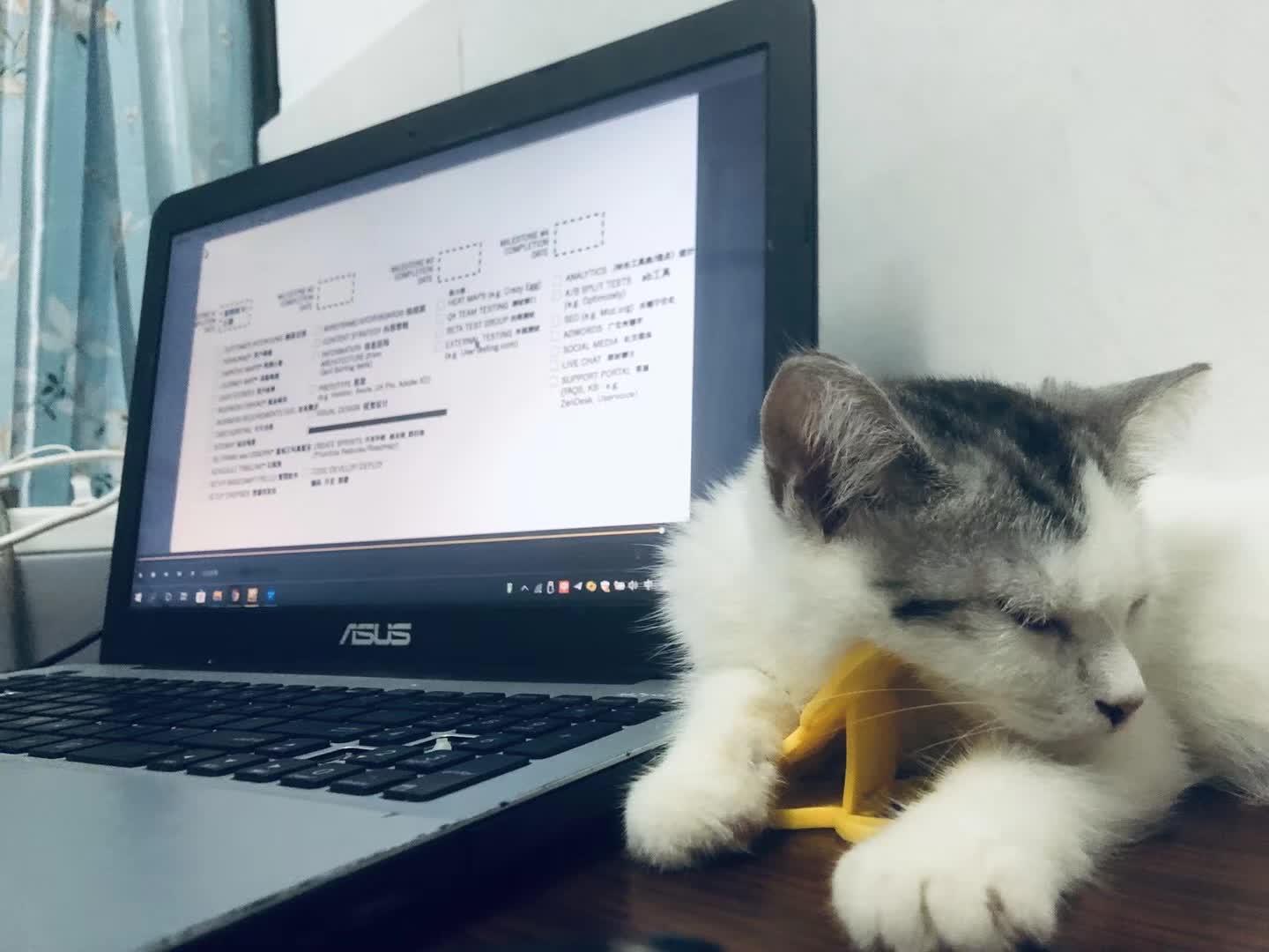 图片[1]-从设计师到闲鱼卖货，2年副业赚30万+，我经历了哪些-航海圈