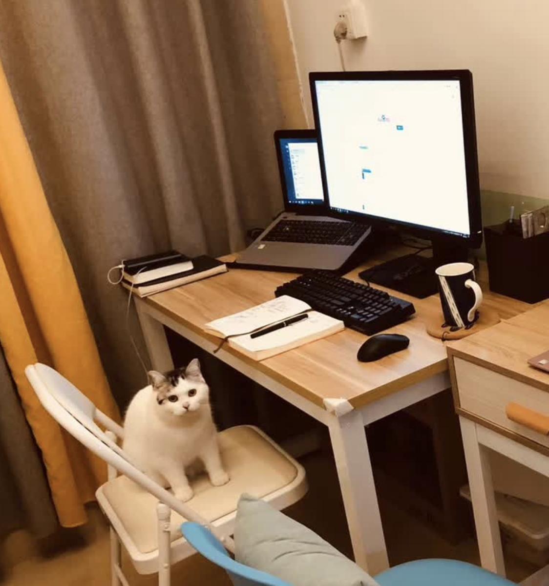 图片[3]-从设计师到闲鱼卖货，2年副业赚30万+，我经历了哪些-航海圈