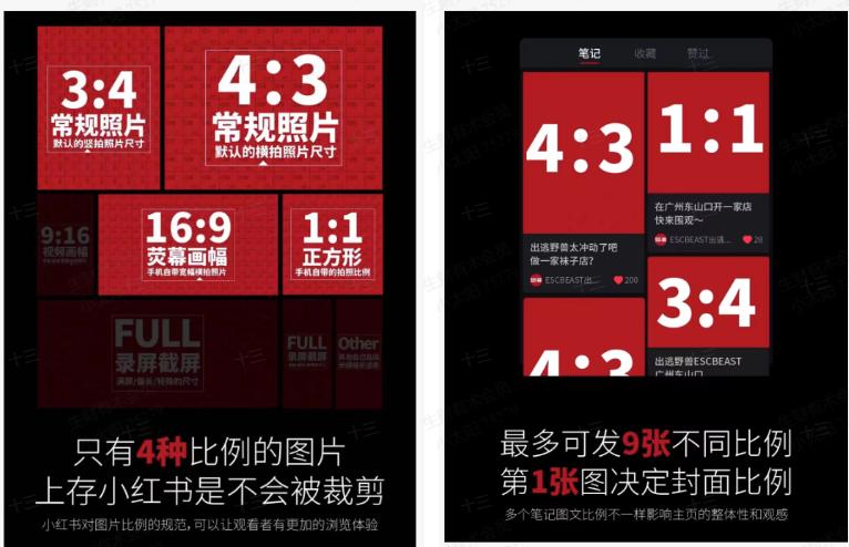 图片[16]-小红书打粉实战手册-航海圈