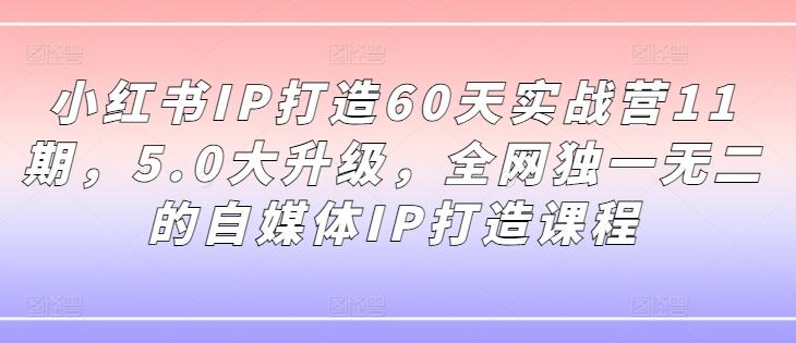 小红书IP打造60天实战营11期，5.0大升级，全网独一无二的自媒体IP打造课程-航海圈