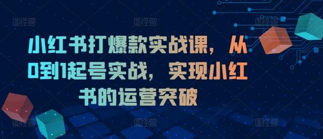 小红书打爆款实战课,从0到1起号实战,实现小红书的运营突破-航海圈