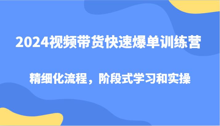 2024视频带货快速爆单训练营，精细化流程，阶段式学习和实操-航海圈