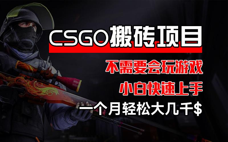 CSGO 装备搬砖项目，操作简单，不需要会玩游戏，小白也能快速上手，一…-航海圈