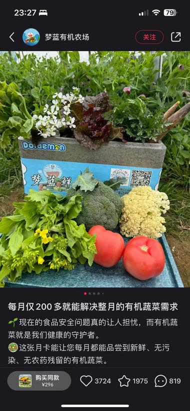 20240904112252134-image