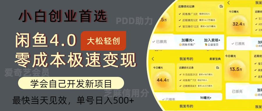 闲鱼0成本极速变现项目，多种变现方式 单号日入500+最新玩法-航海圈