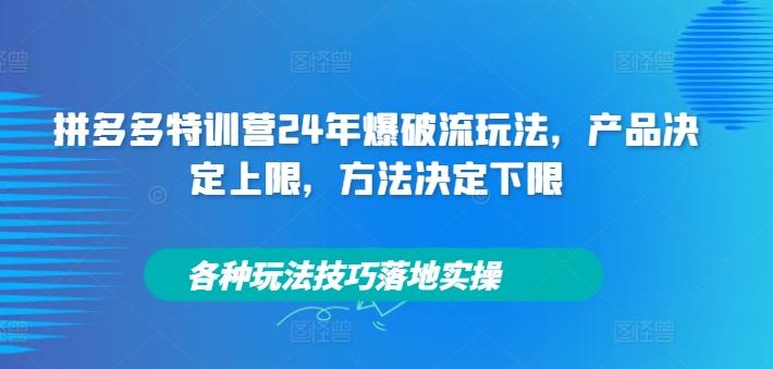 拼多多特训营24年爆破流玩法，产品决定上限，方法决定下限，各种玩法技巧落地实操-航海圈