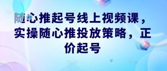 随心推起号线上视频课，实操随心推投放策略，正价起号-航海圈