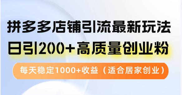 （12893期）拼多多店铺引流最新玩法，日引200+高质量创业粉，每天稳定1000+收益（…-航海圈