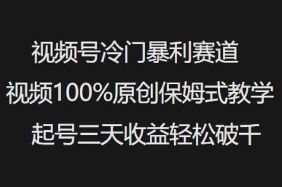 视频号冷门暴利赛道视频100%原创保姆式教学起号三天收益轻松破千-航海圈