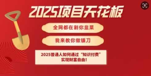 2025项目天花板普通人如何通过知识付费，实现财F自由【揭秘】-航海圈