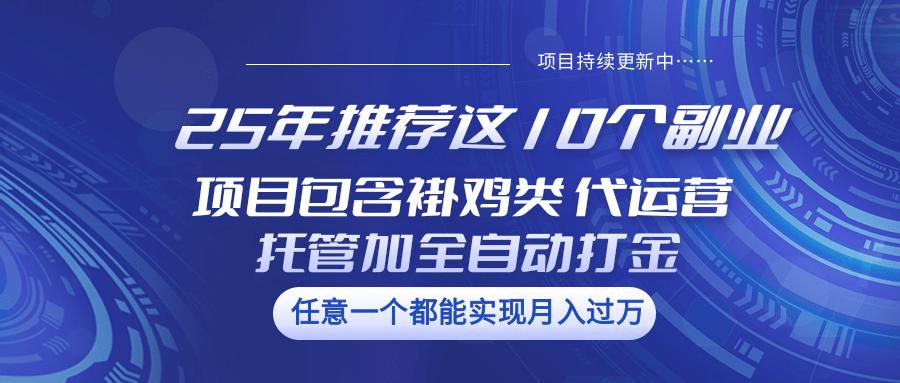 25年推荐这10个副业 项目包含褂鸡类、代运营托管类、全自动打金类-航海圈