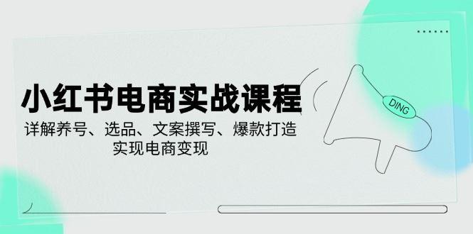 （14549期）小红书电商实战课程，详解养号、选品、文案撰写、爆款打造，实现电商变现-航海圈